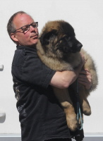 Otso - Abholung in Finnland