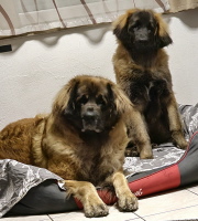 Mama und Dana Okt.2023