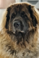 Cara-Mia mit 5 Jahren