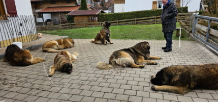 3 Generationen Treffen 2025