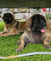 Schwestern Leni und Dana Schwestern Leni und Dana