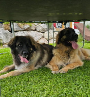 Schwestern Mayla und Leni Schwestern Mayla und Leni